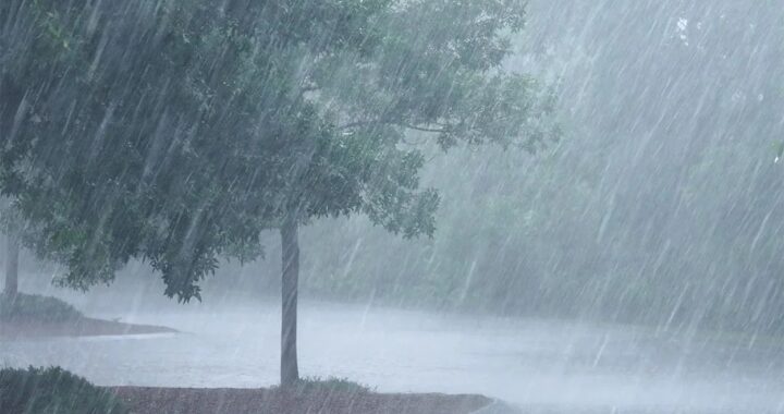 ୮ଟି ରାଜ୍ୟରେ ପାଣିପାଗ ସତର୍କତା ନେଇ ସତର୍କ ସୂଚନା ଜାରି