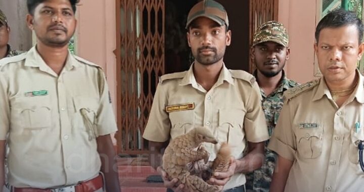 ବଜ୍ରକାପ୍ତା ବିକ୍ରି ପାଇଁ ଦାମ୍‌, ହଠାତ୍‌ ପହଞ୍ଚିଗଲା ବନବିଭାଗ